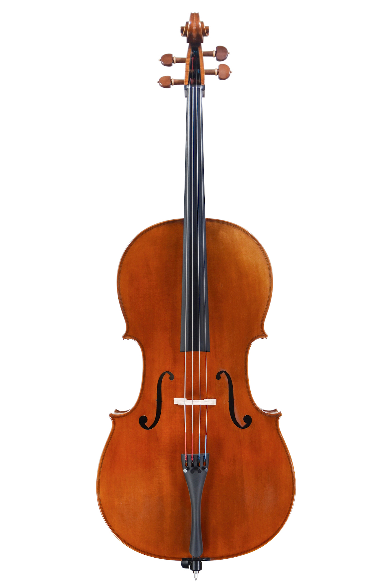 ピグマリウス 分数バイオリン 1/2 - 弦楽器、ギター